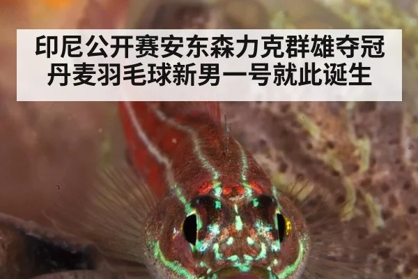 印尼公开赛安东森力克群雄夺冠 丹麦羽毛球新男一号就此诞生