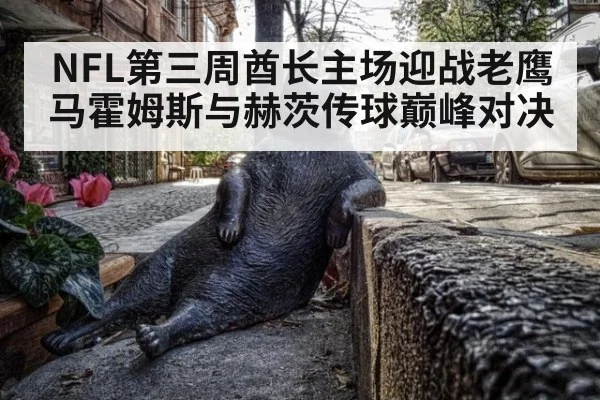NFL第三周酋长主场迎战老鹰马霍姆斯与赫茨传球巅峰对决